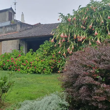 Casa Lägenhet *